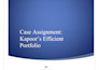make a professional portfolio with high returns and low risk